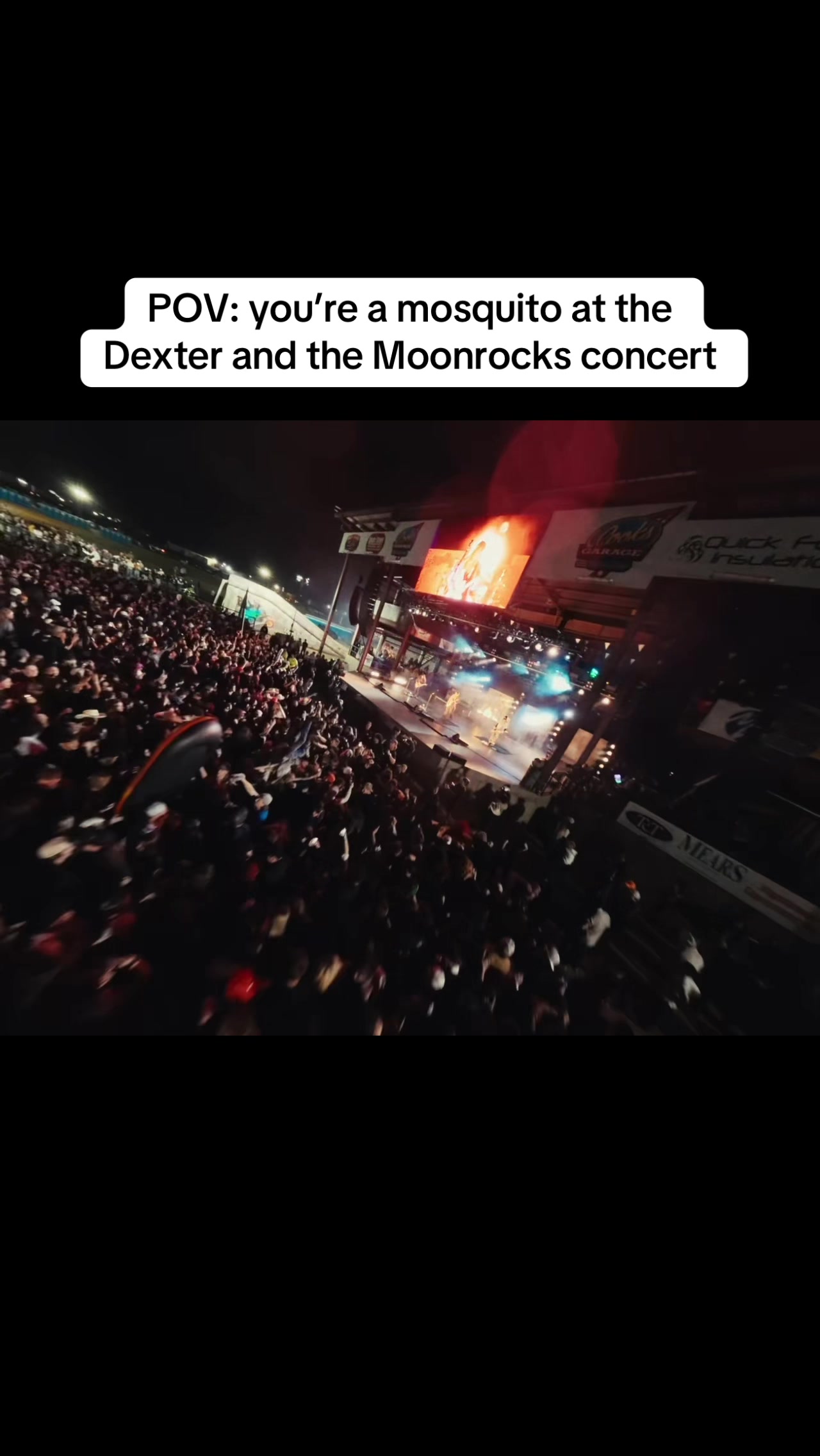 @Dexter & The Moonrocks