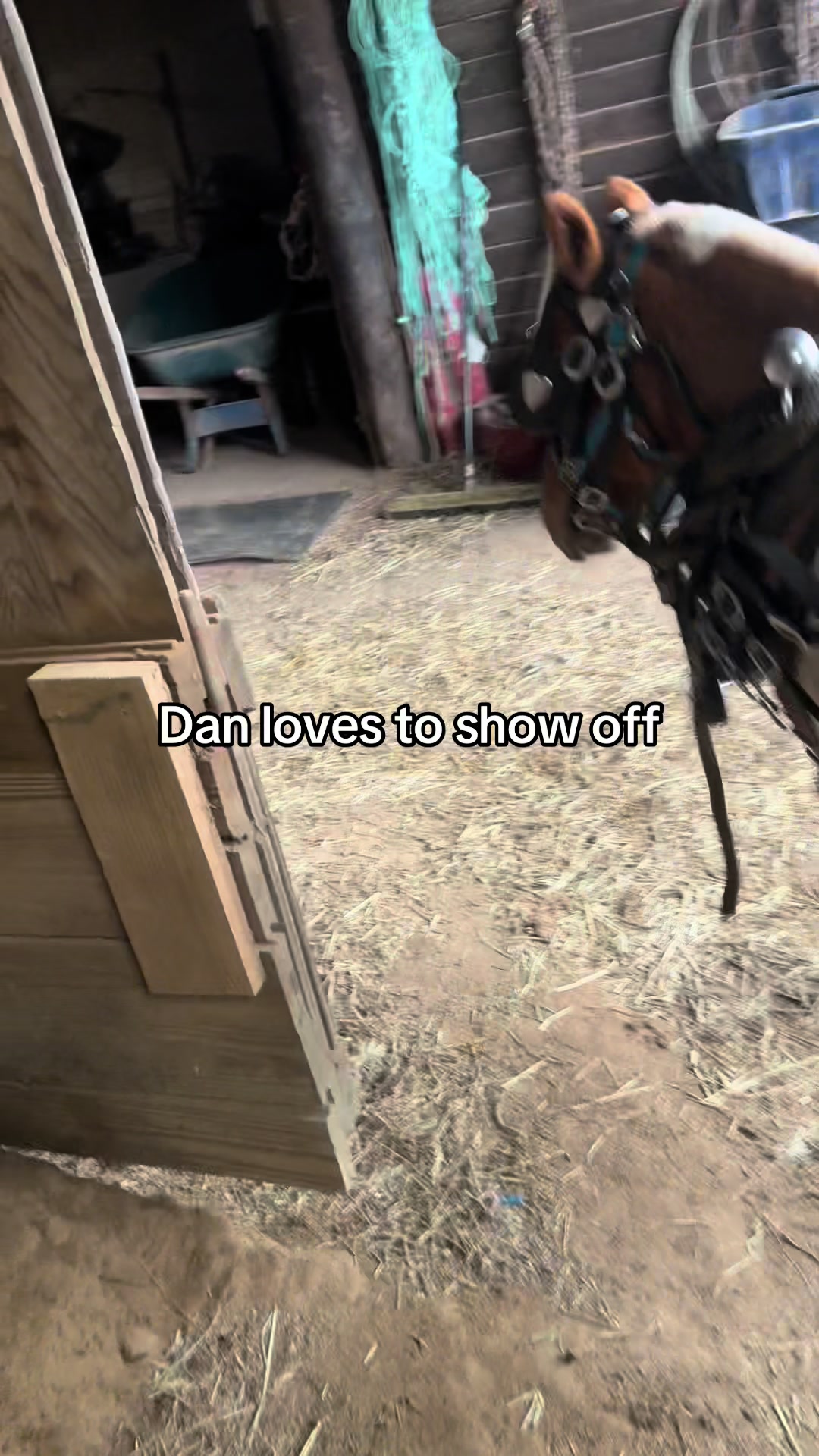 @cj