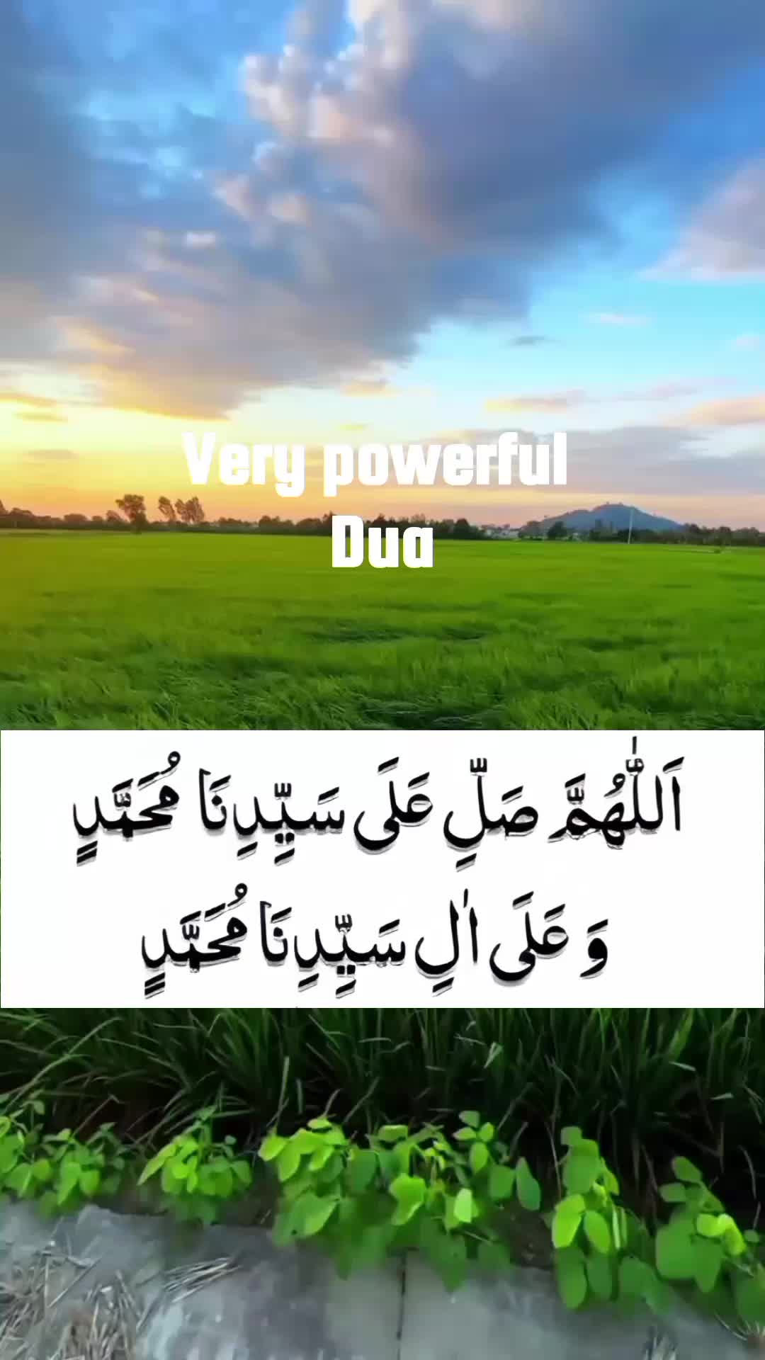 @أَزْهَر
