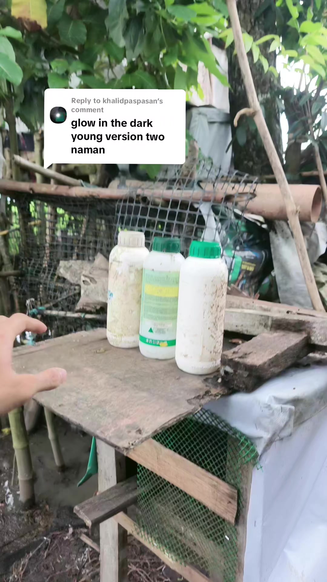 @Boga King Vlogs