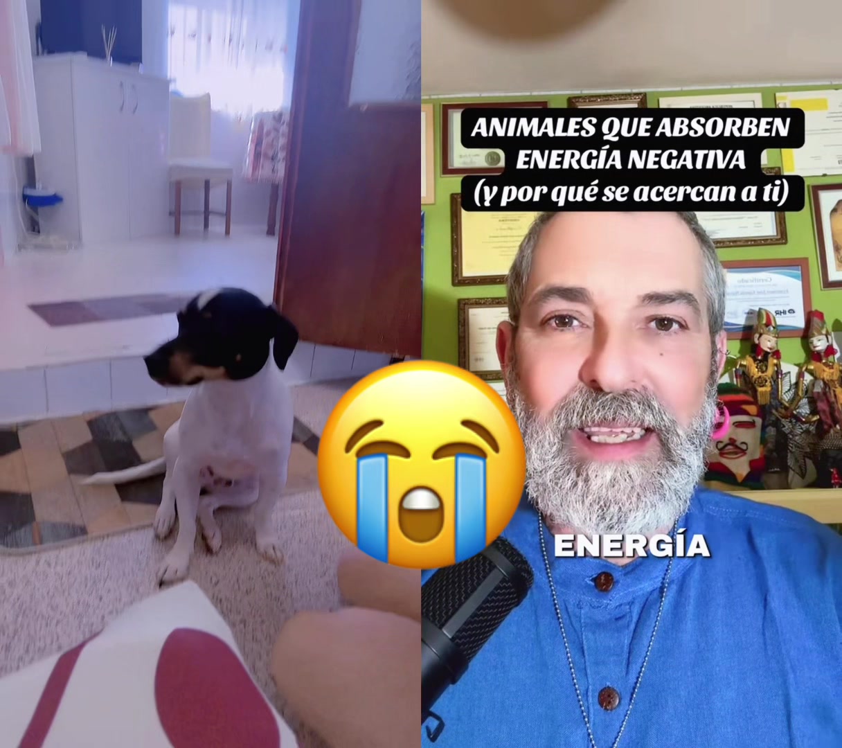 @777 REGINA SAPANIEA