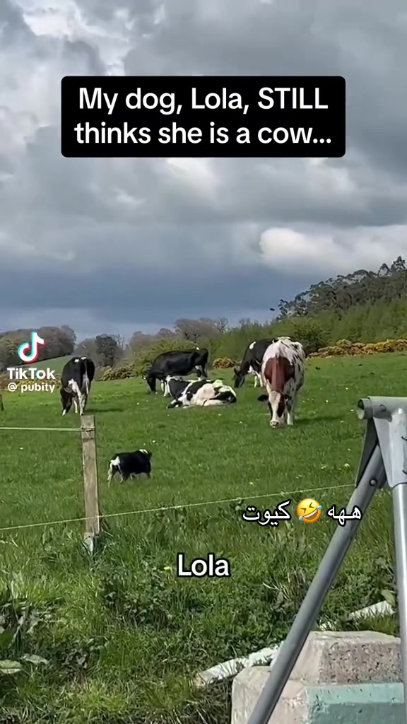 @دينا☘️