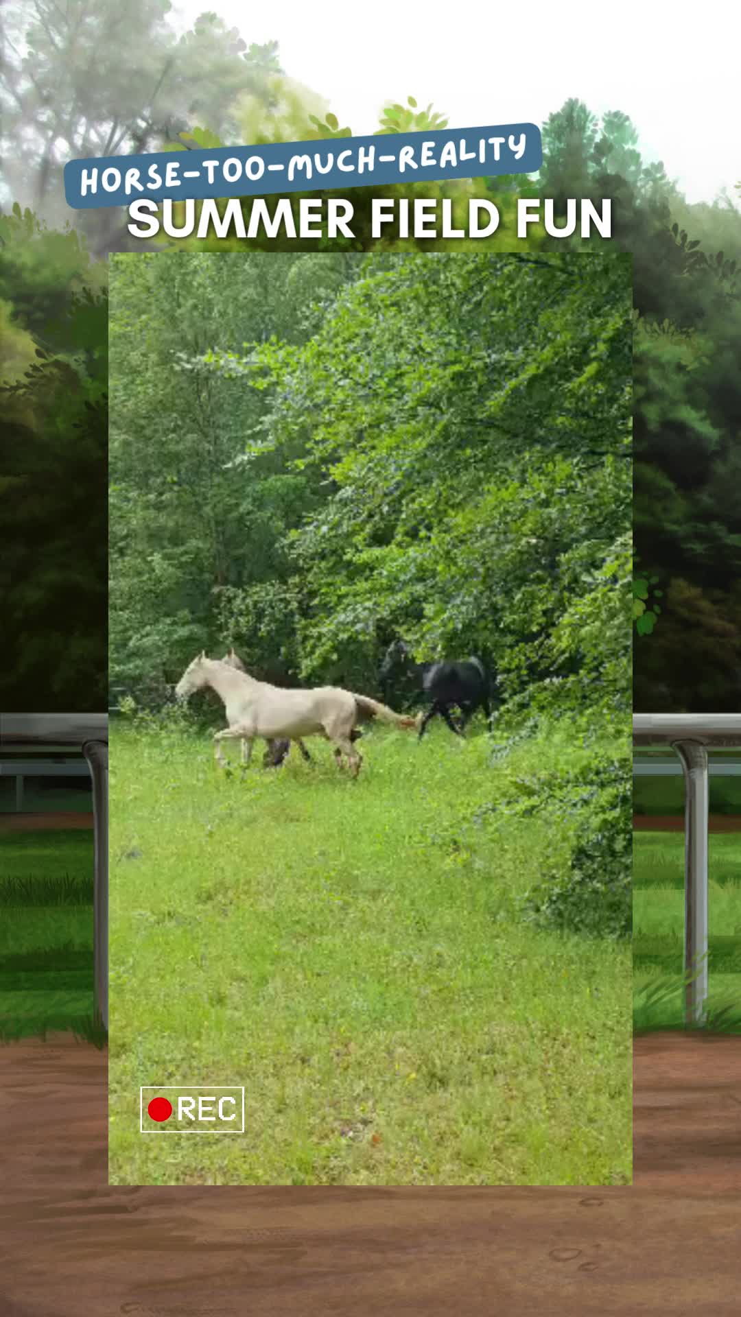 @Horse Reality