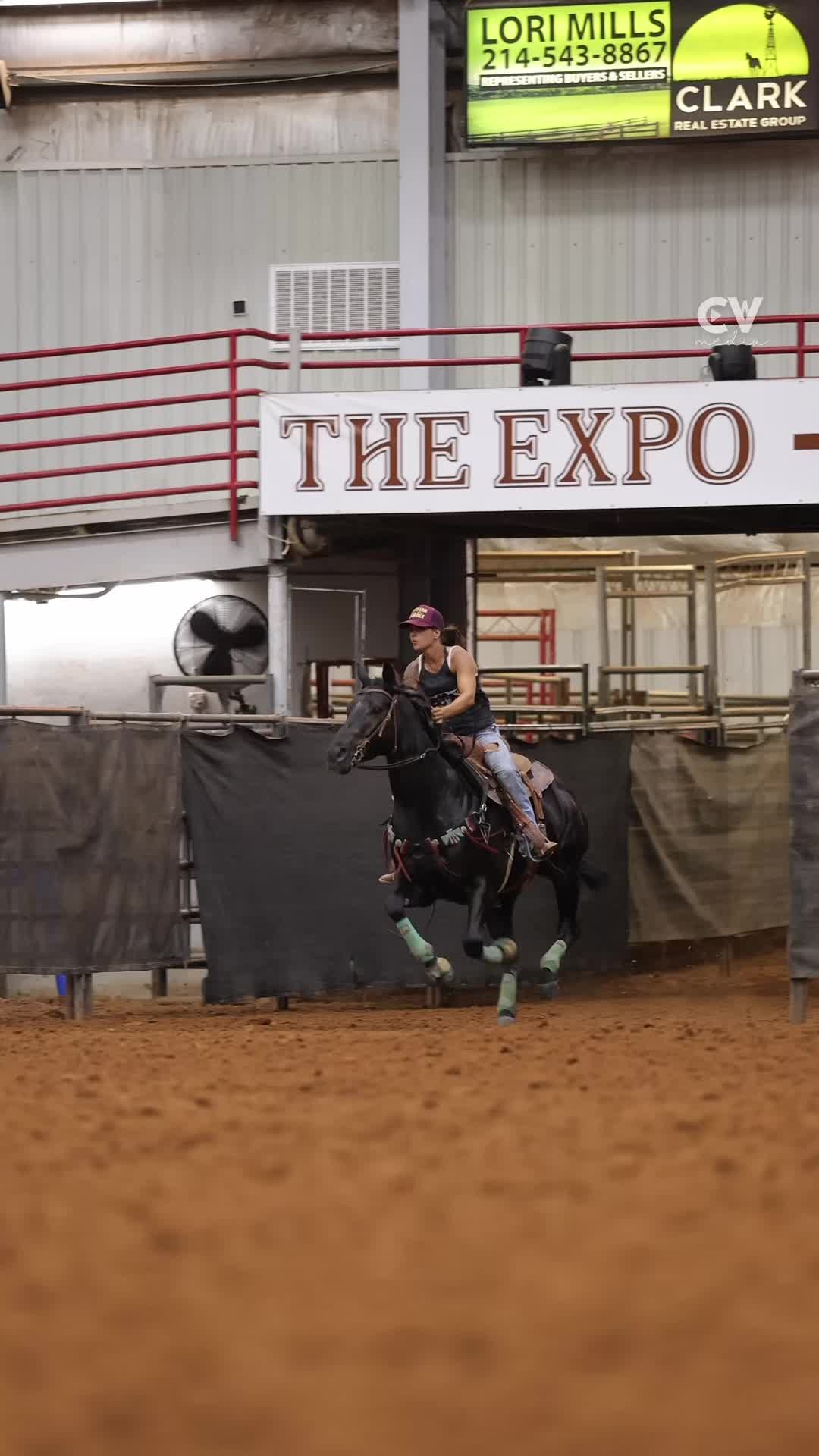 @TF Performance Horses