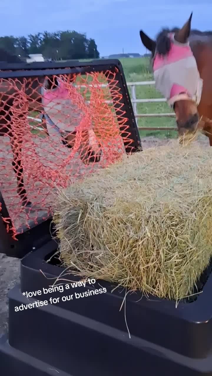 @Taylor | Sah{farm}m