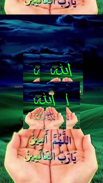 @وحید وحید