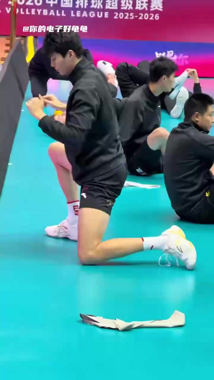 @你的电子好龟龟