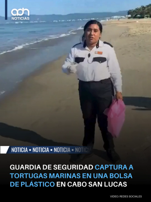 @adn Noticias