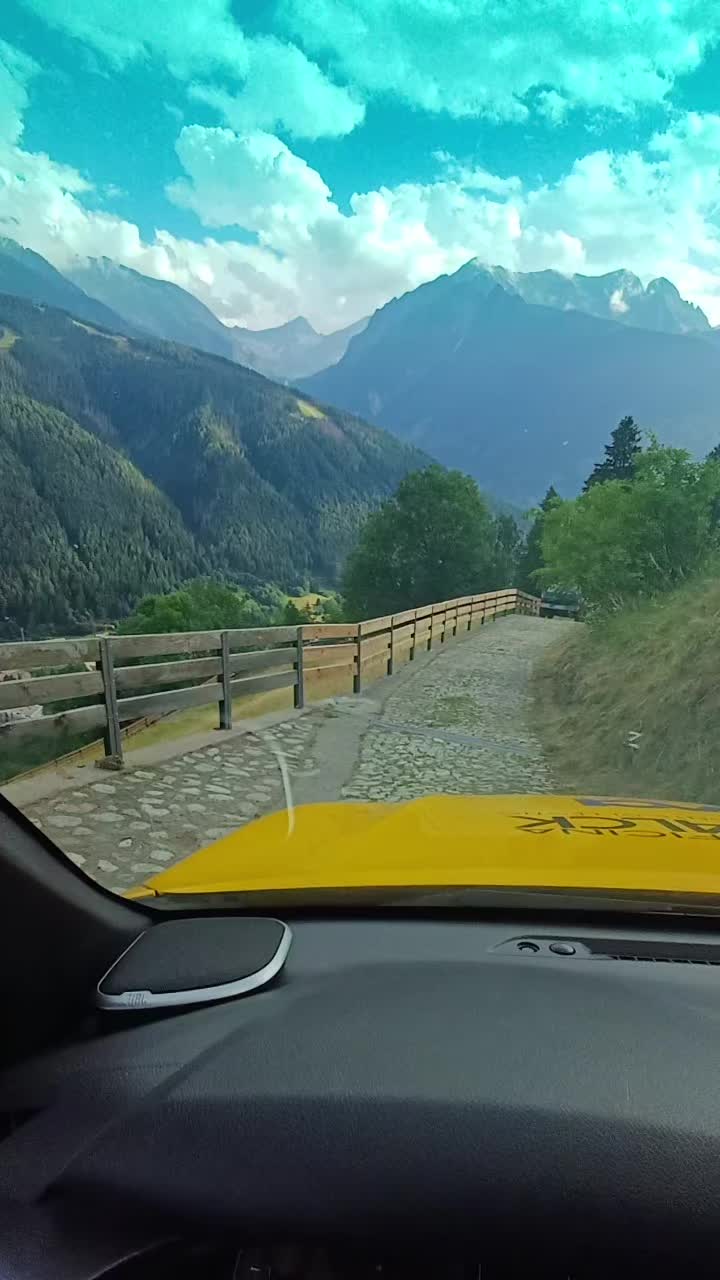 @il carrista di tik tok