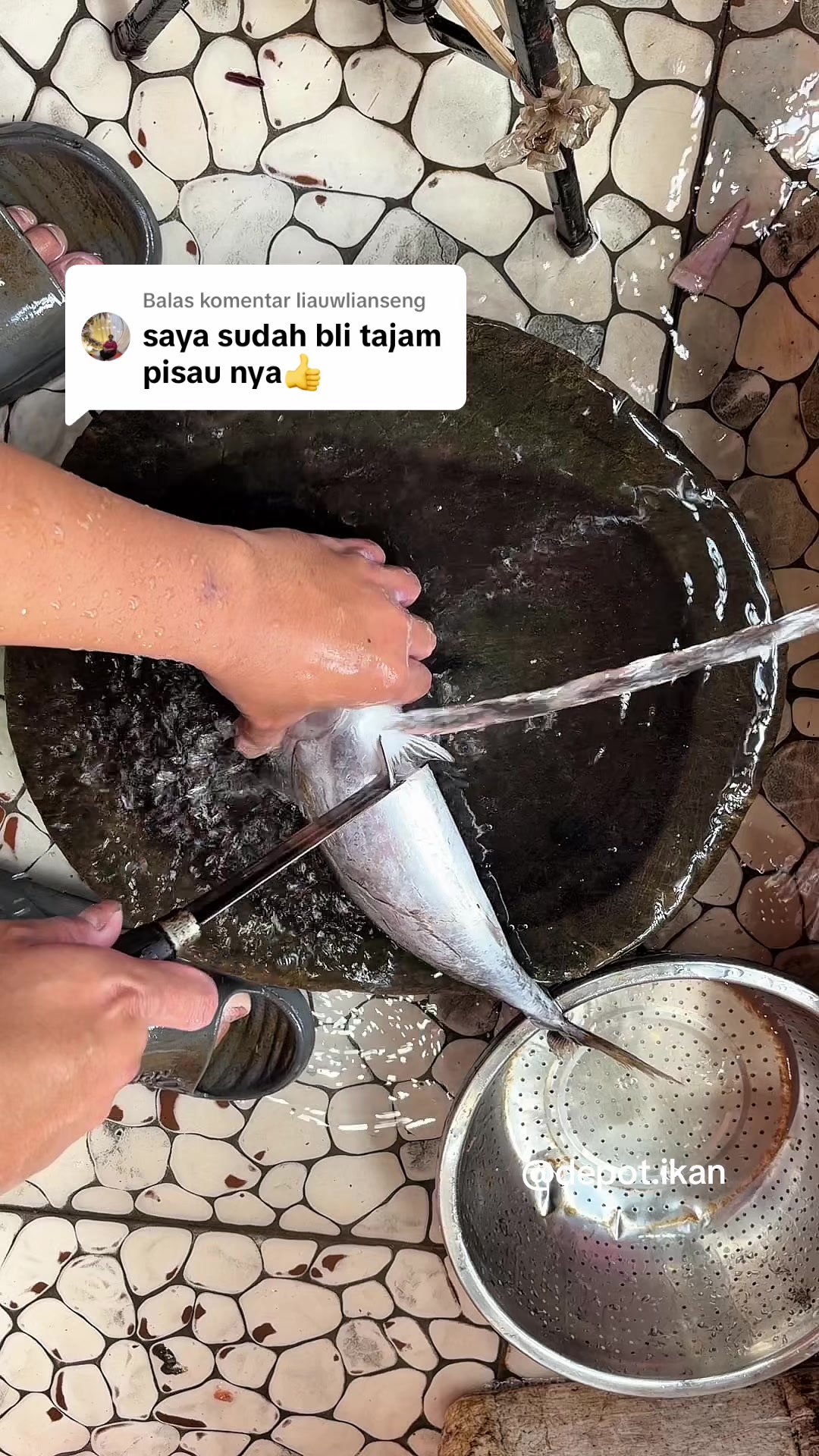 @Depot Ikan