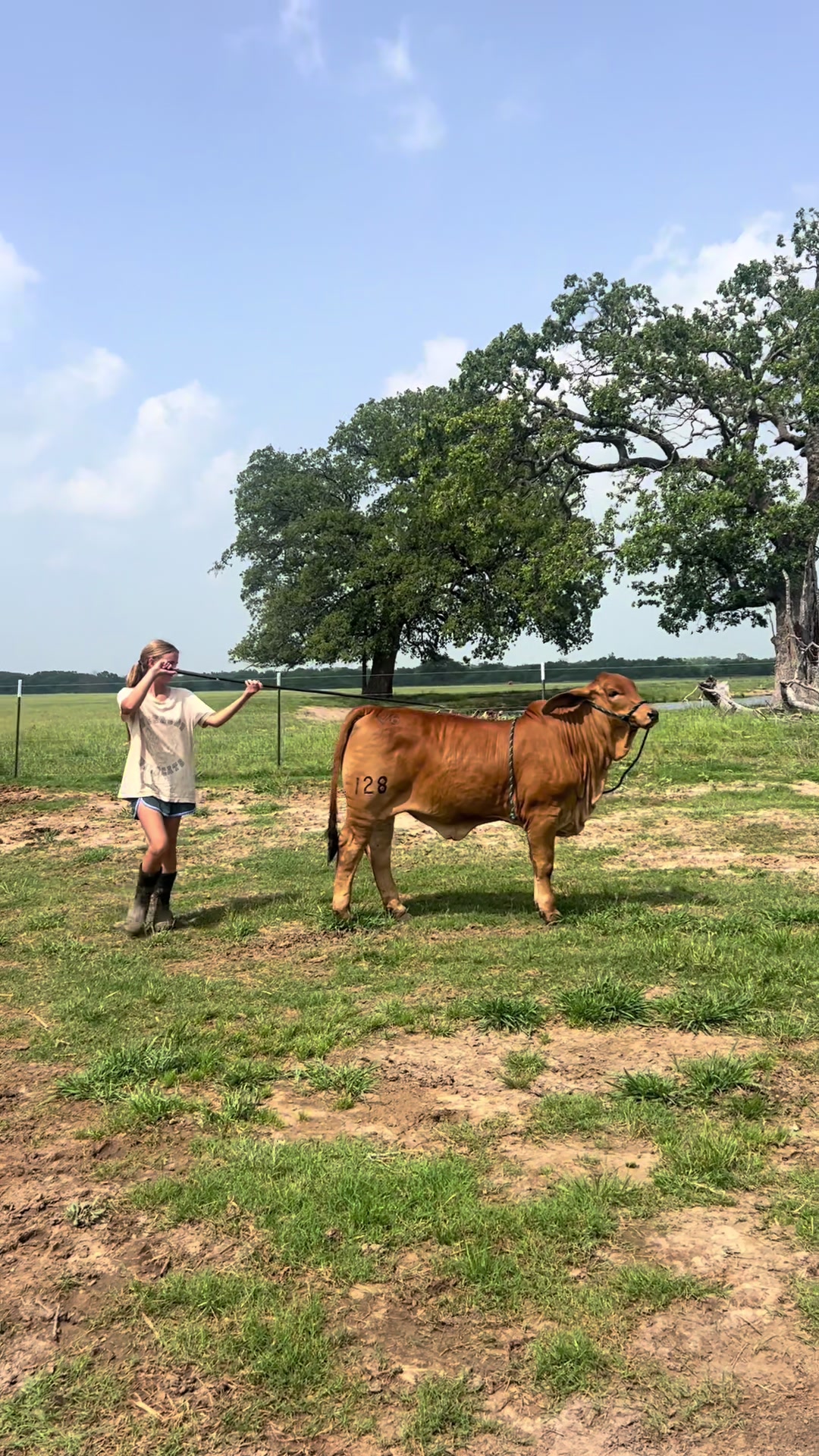 @The V6 Ranch