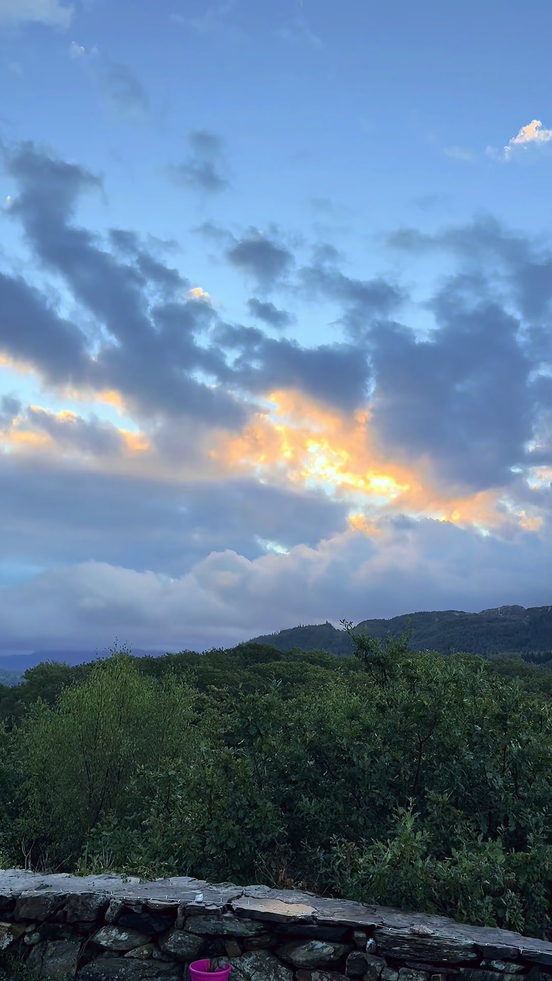 @Nature Mind ᨒ ོ ☼