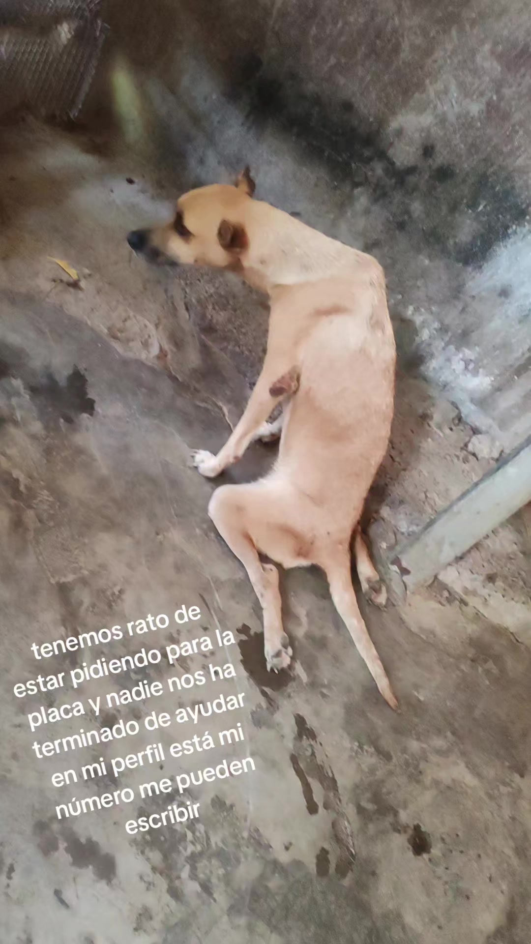 @casa hogar milagros 505 🇳🇮