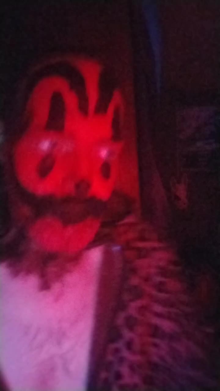 @PurgeKitty