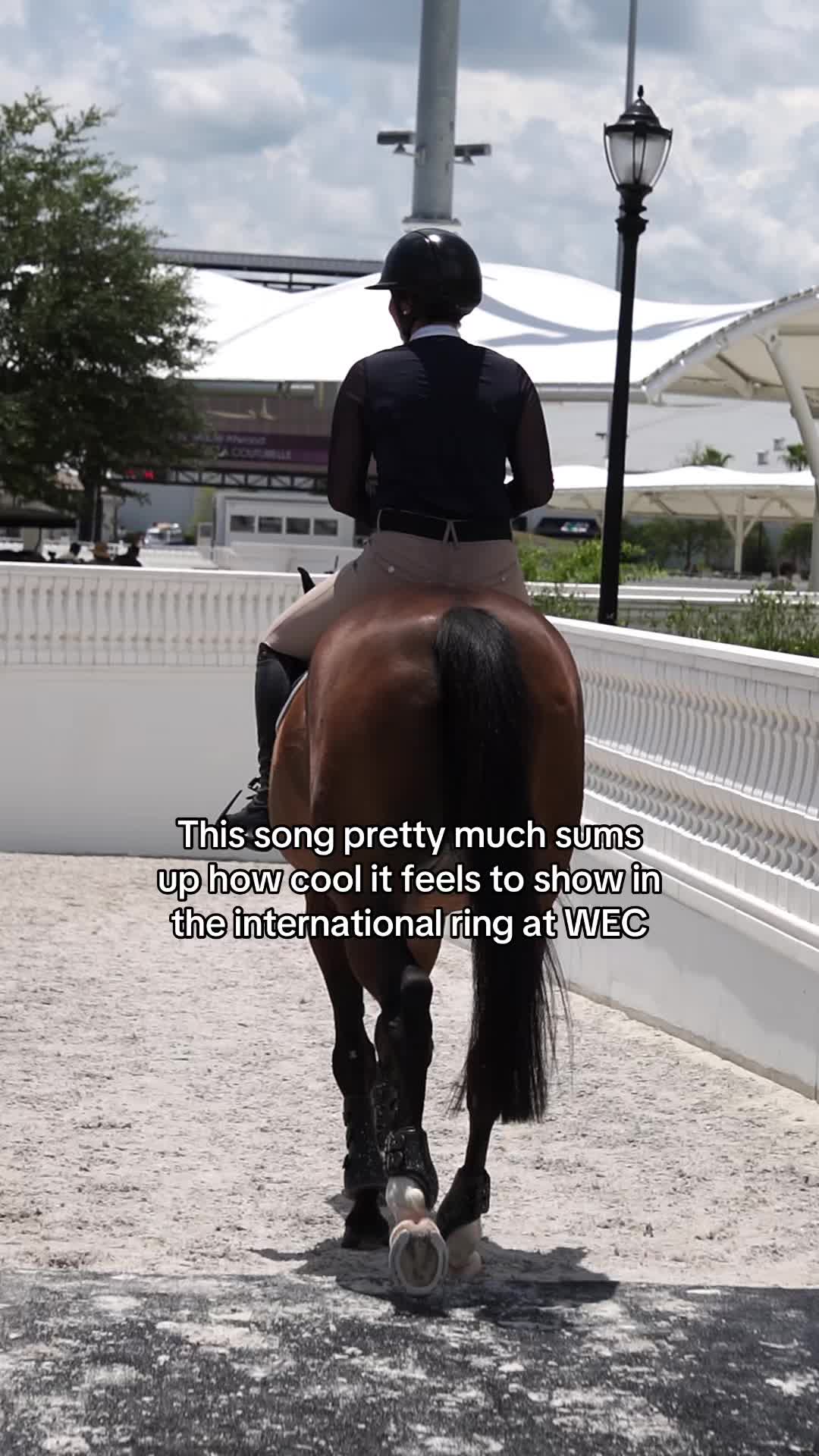 @Courses and Cocktails
