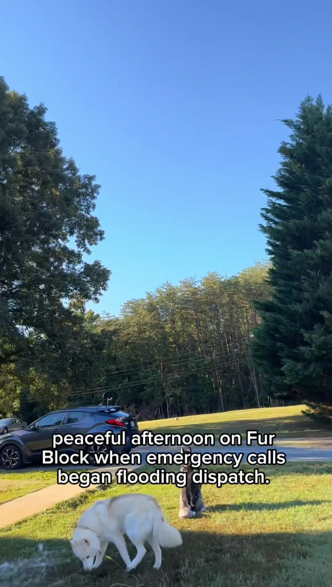 @FourHuskyteers