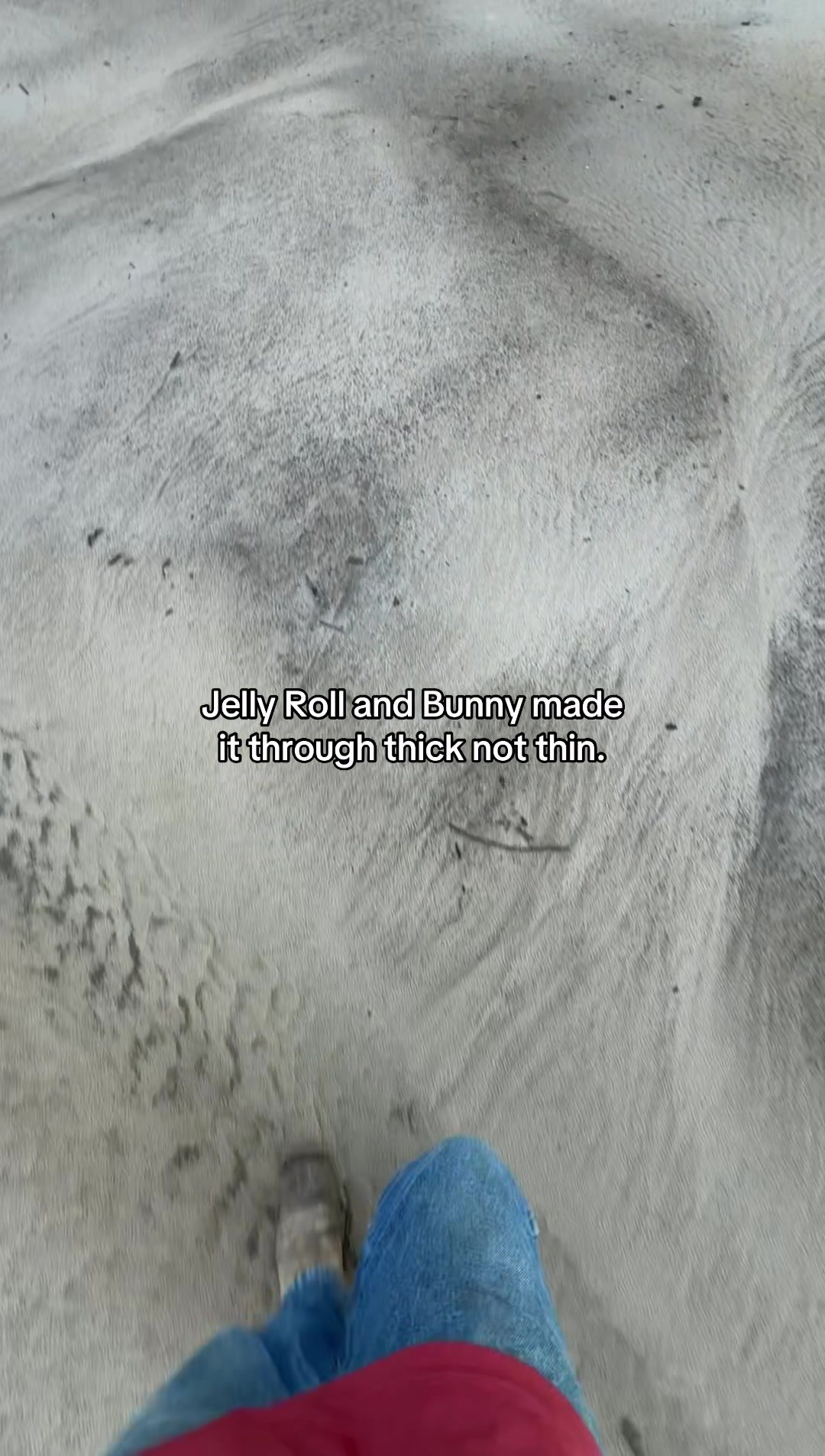 @Wyatt