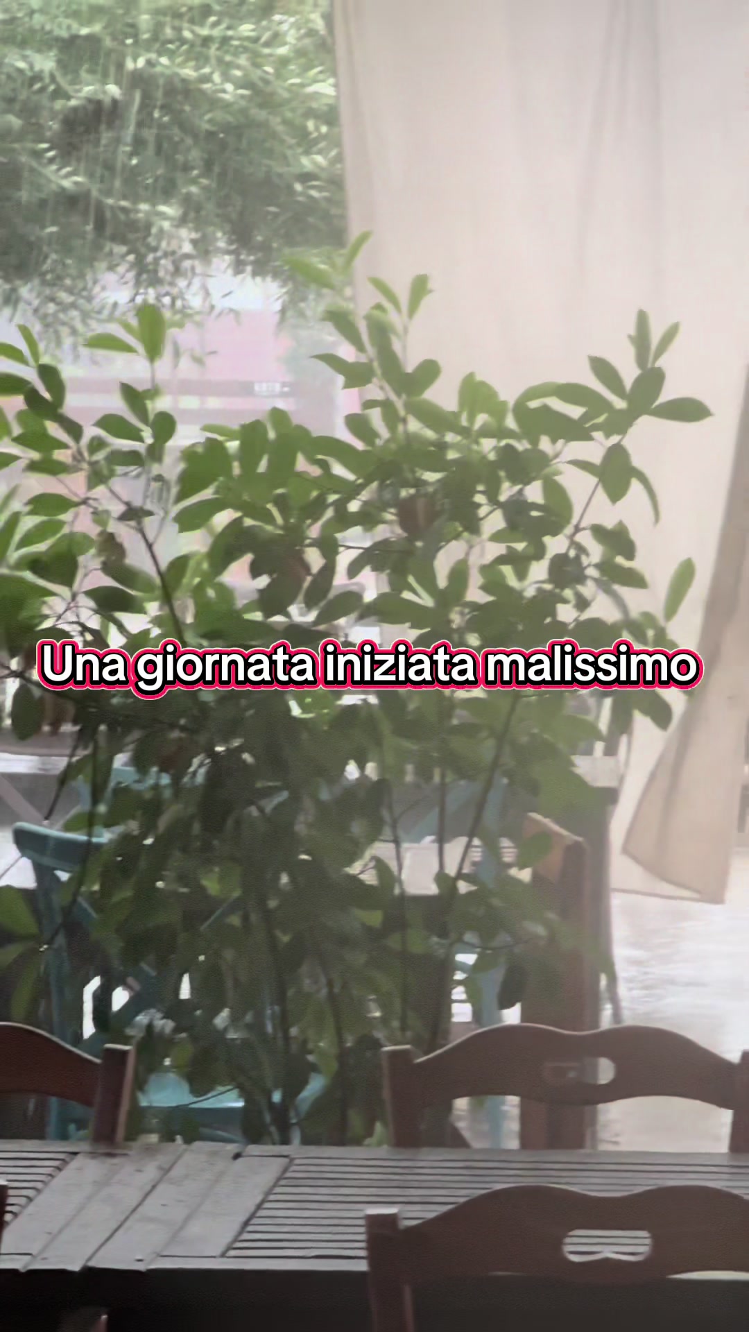 @santalucia_marigliano
