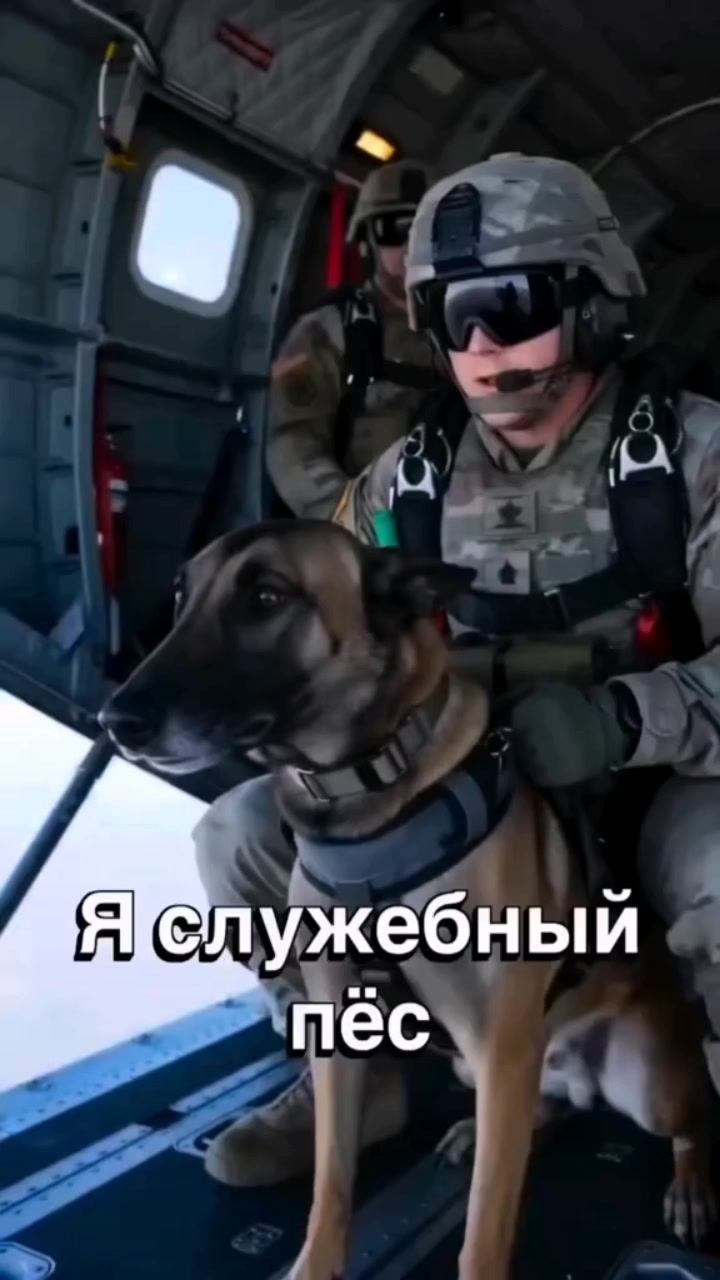 @@dina_and_timoshatoy