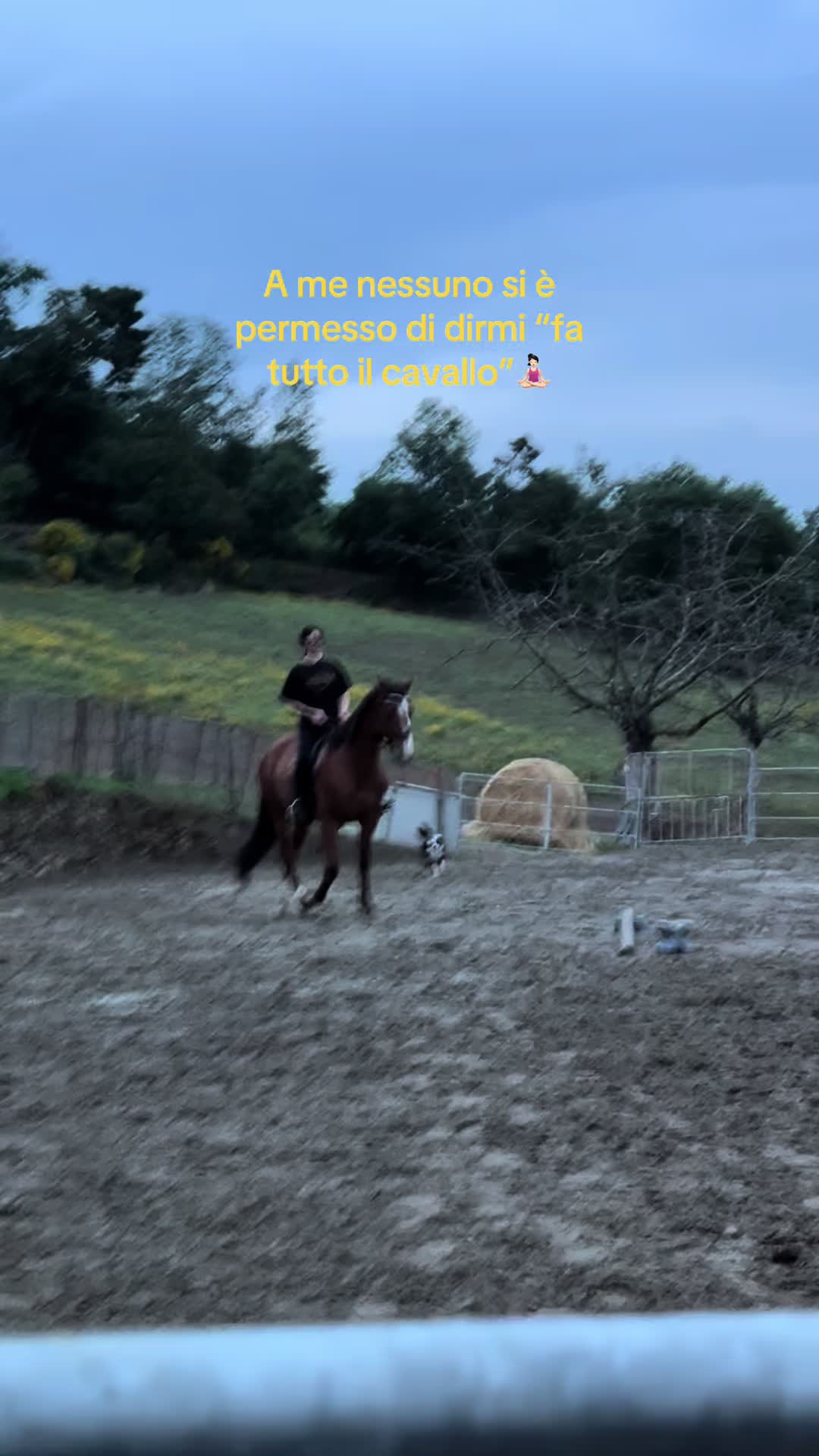 @sara