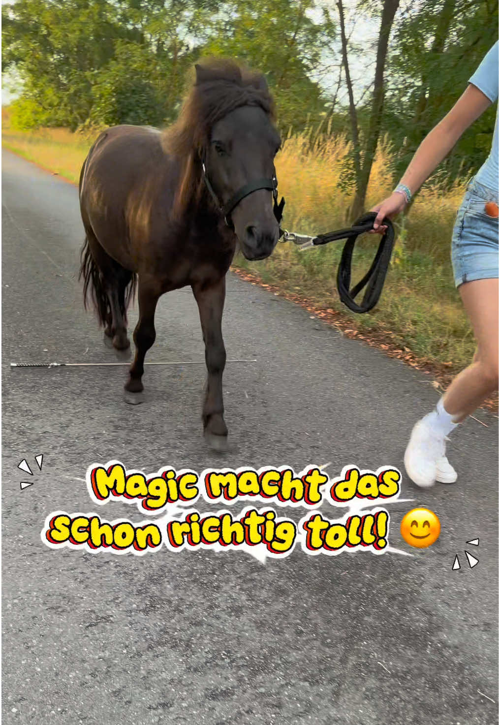 @kht_horselife