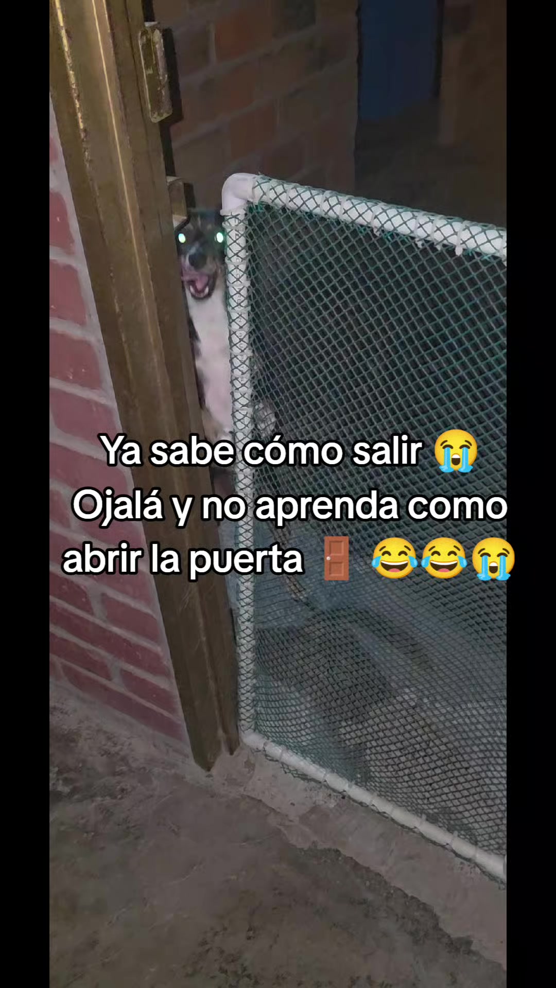 @&hearts;️𝙔𝙖𝙣𝙨𝙞 𝙈 🇨🇴