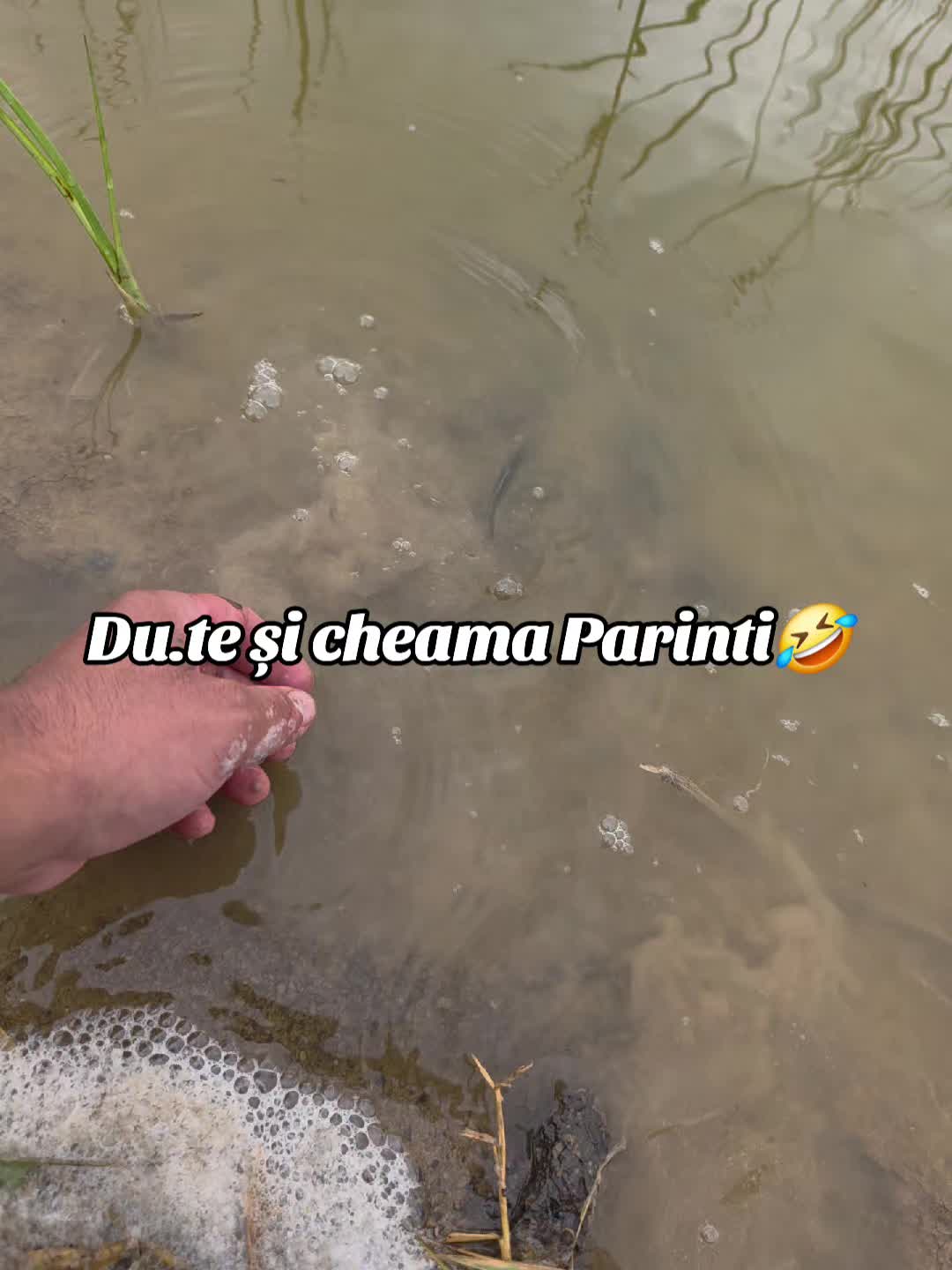 @Alex🇷🇴🇷🇴
