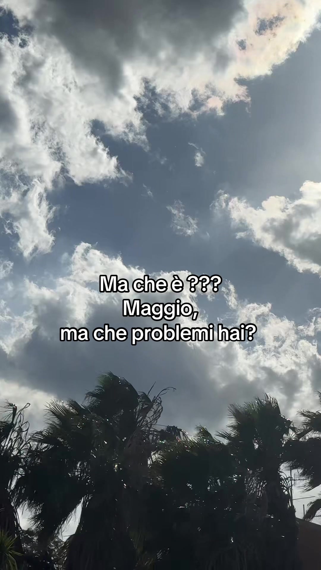 @stefania
