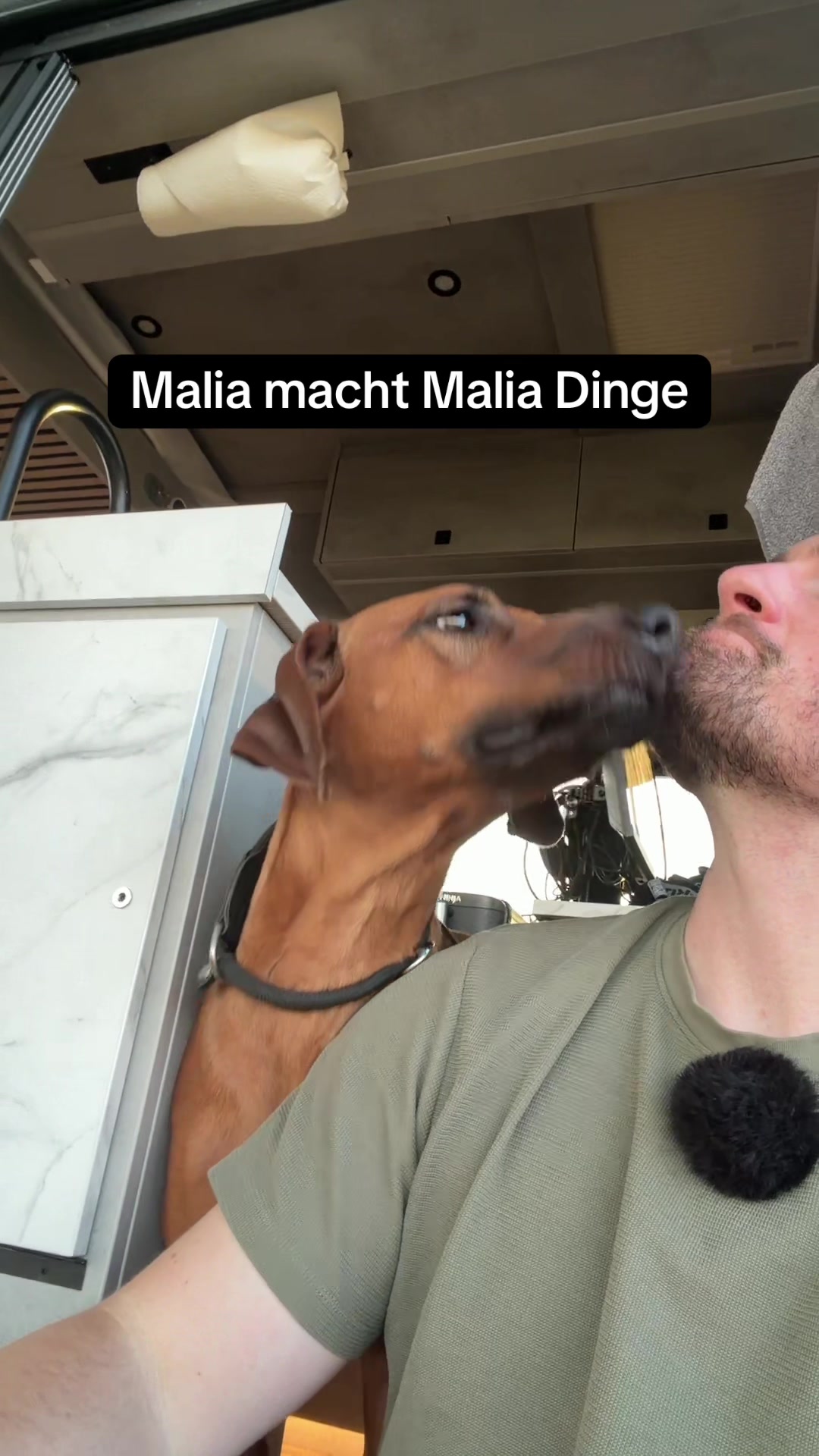 @Ridgeback Diaries