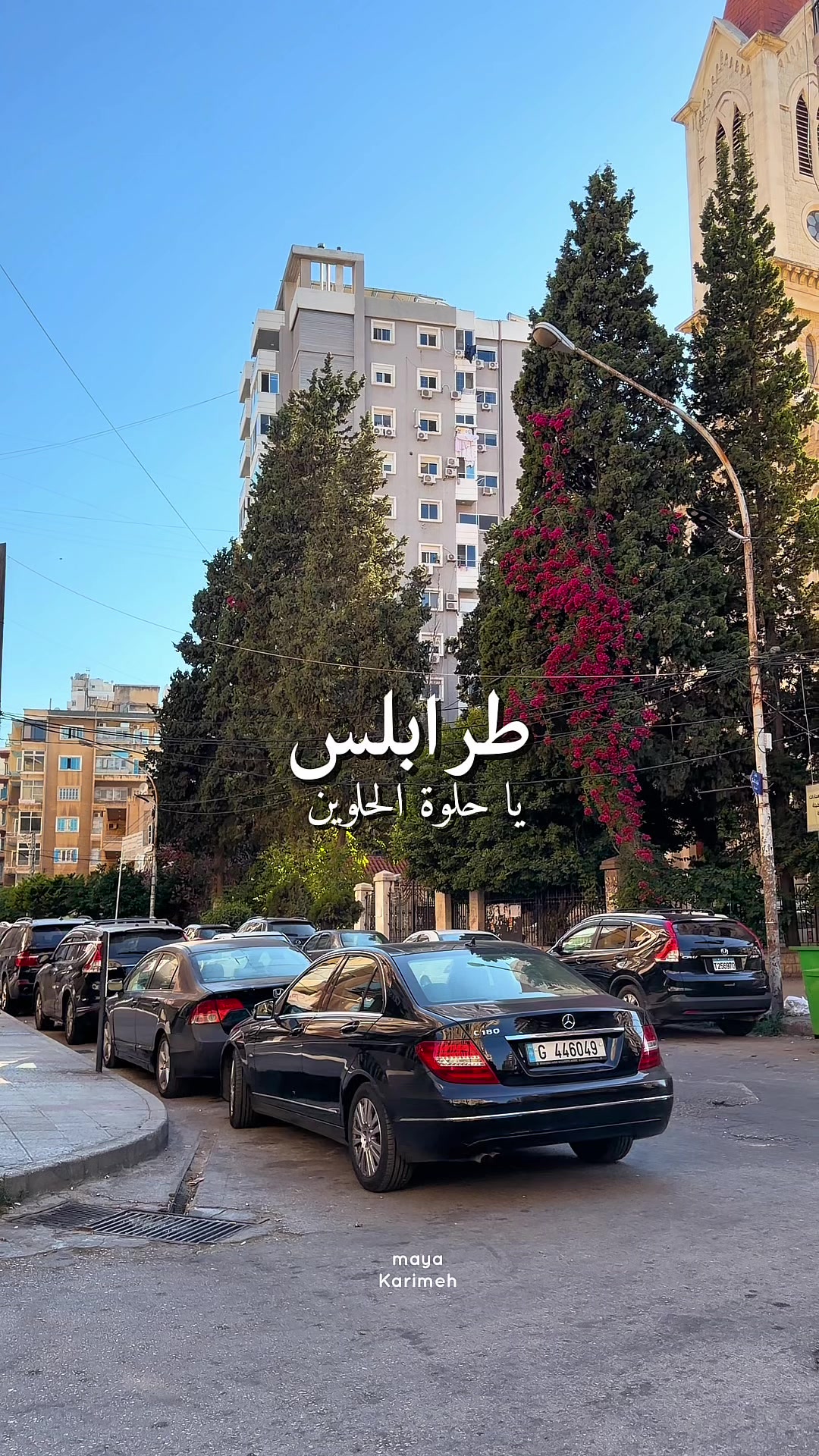 @MAYA O. Karimeh