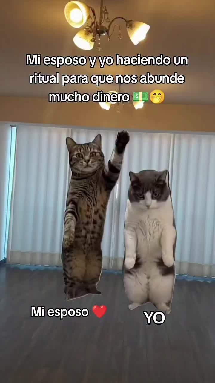 @ifuentesx 🪐⁷