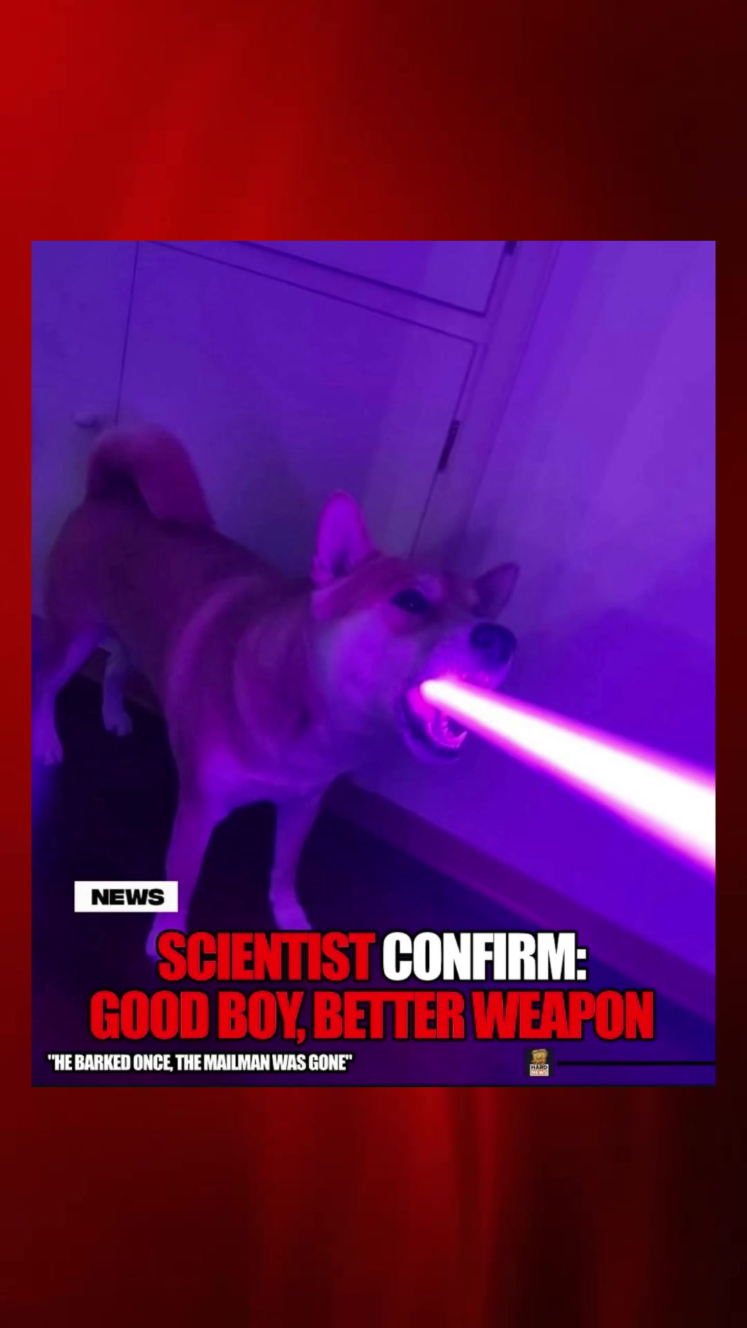 @Hard News