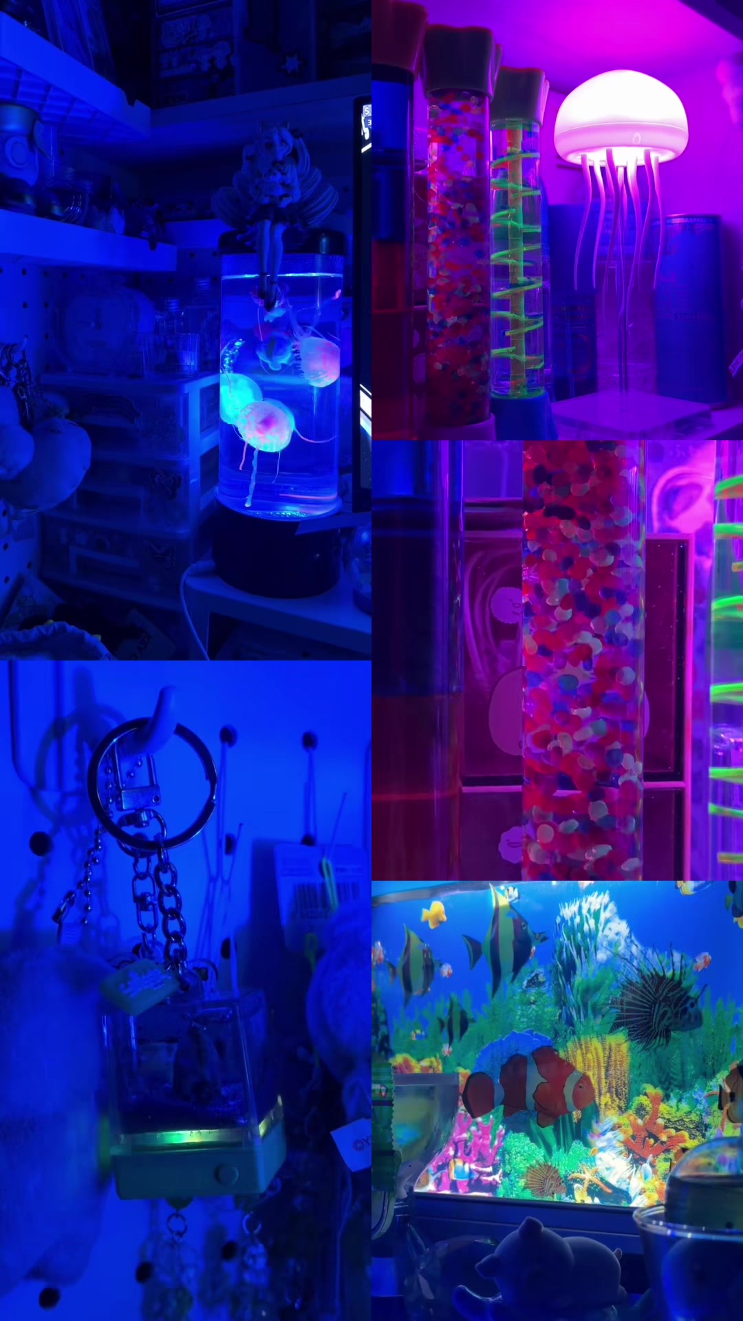 @aqua cat ๐๐ชผ