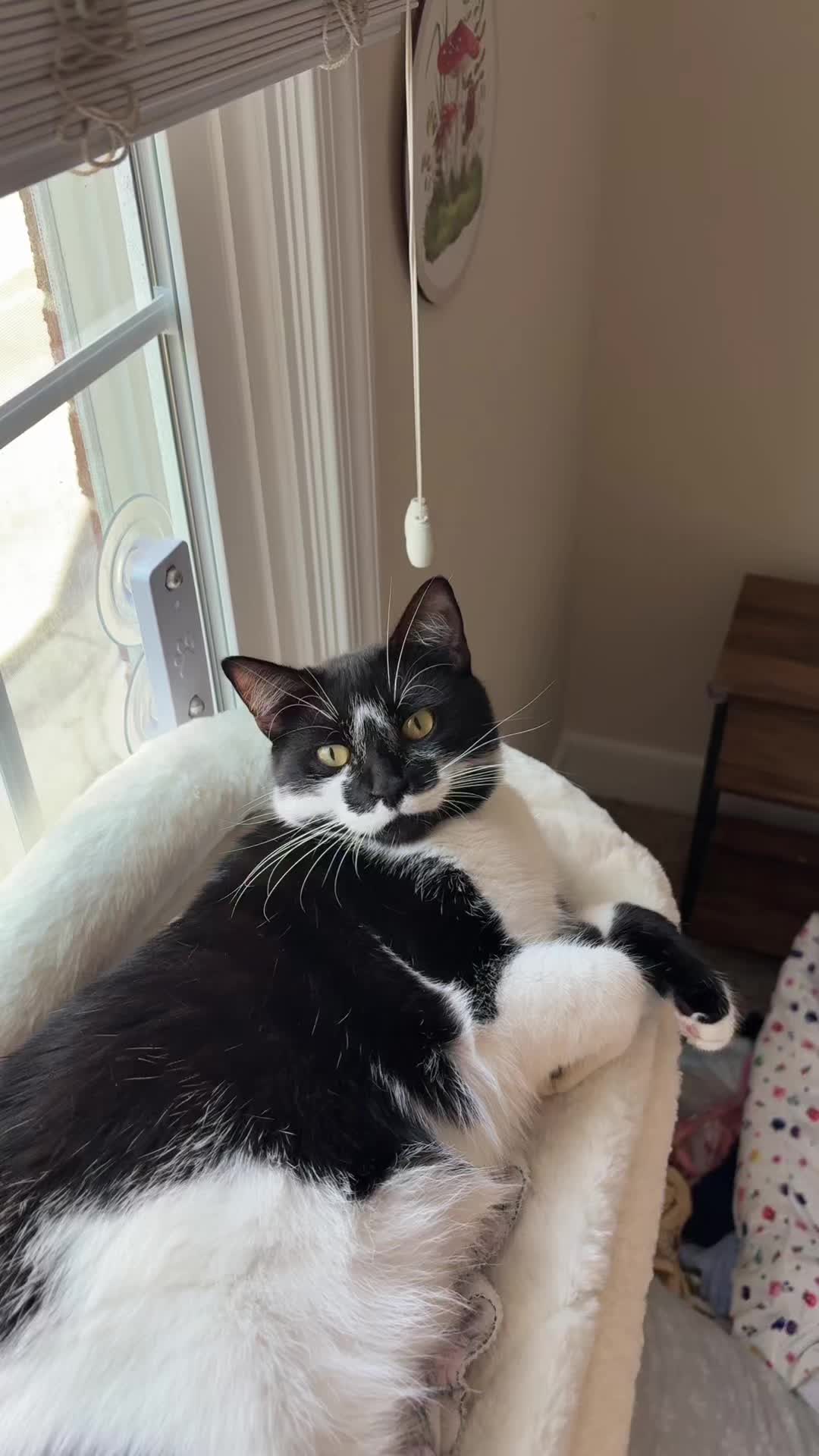@Kat
