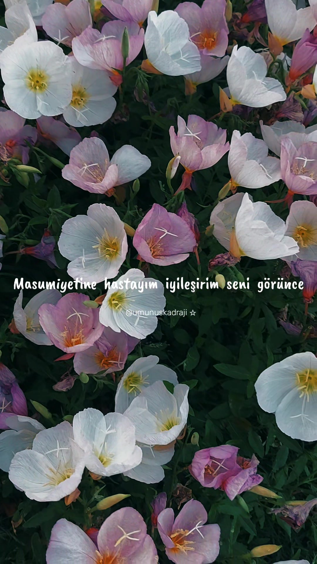 @ümünüş'ün kadrajı
