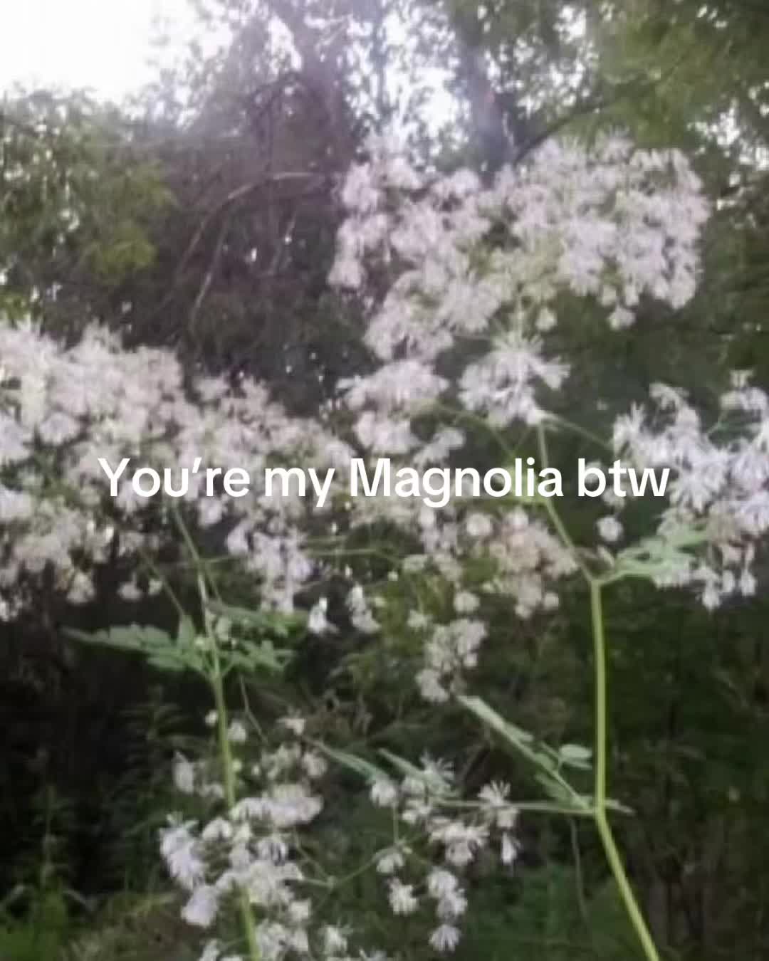 @𝘌𝘷𝘪𝘦