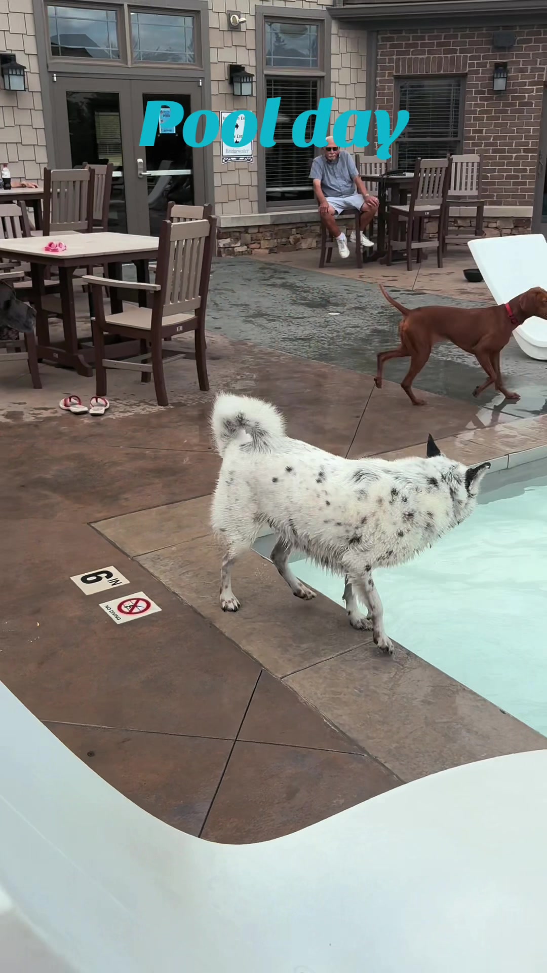 @Wiggle butt