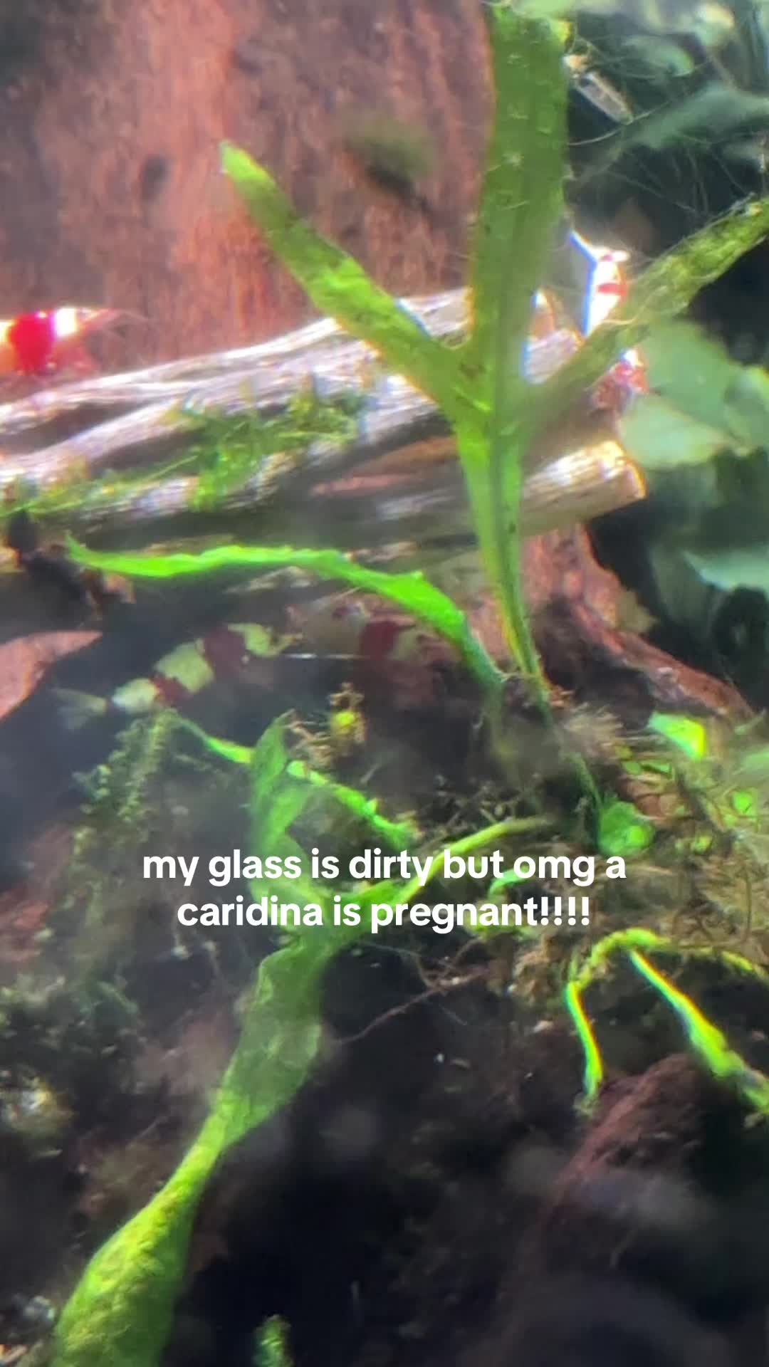 @brokeandrichgirl