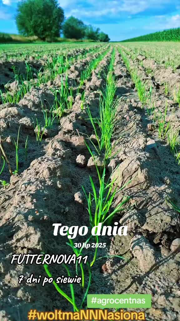 @WOLTMANNNASIONA