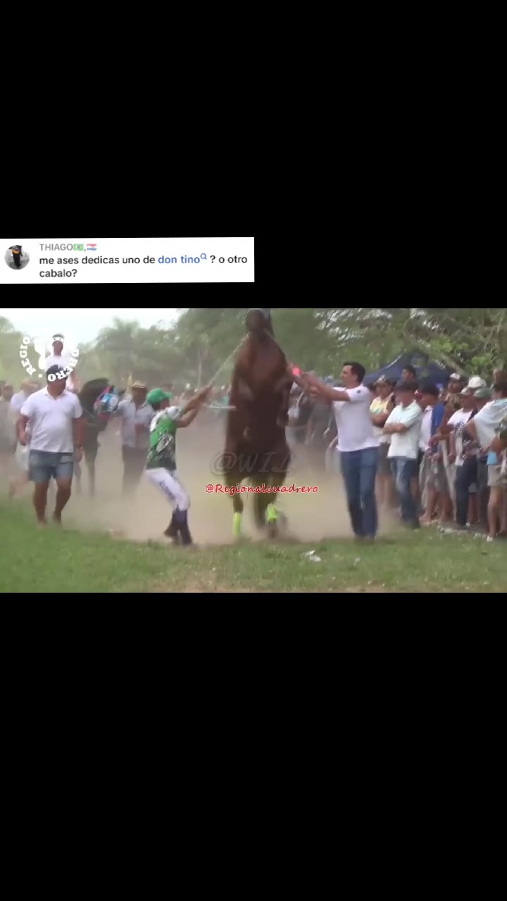@WIL.🐎
