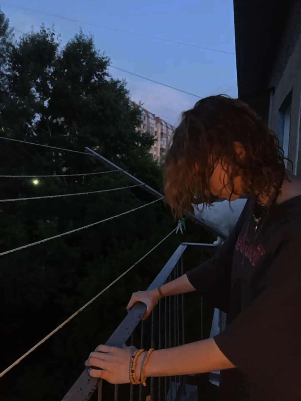 @Лесник