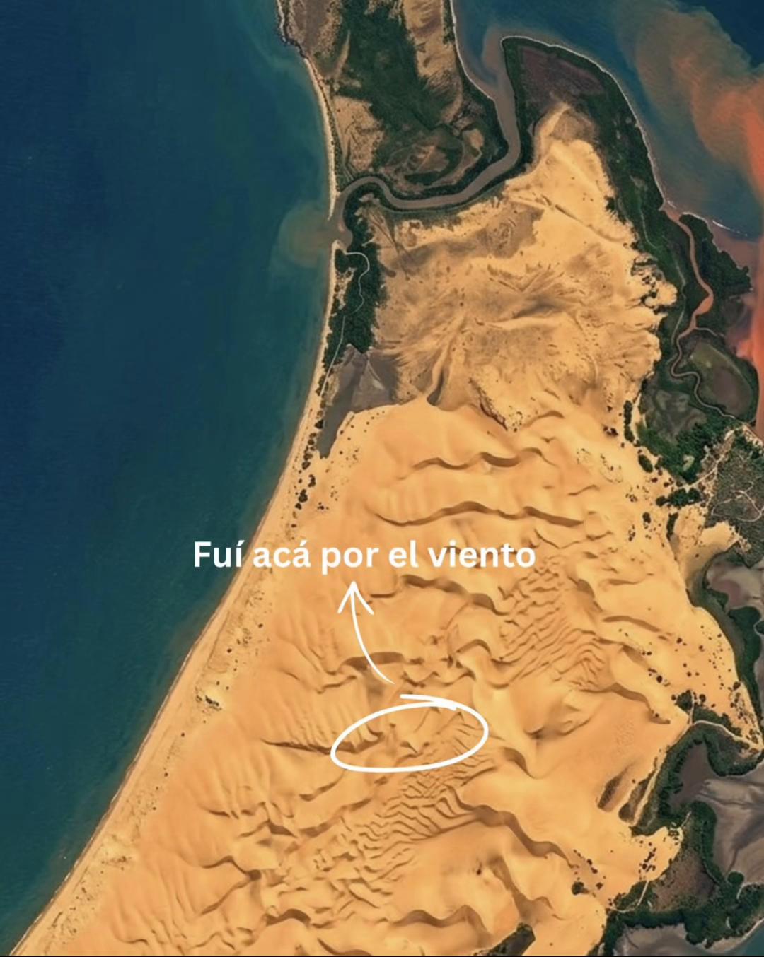 @detodopatii
