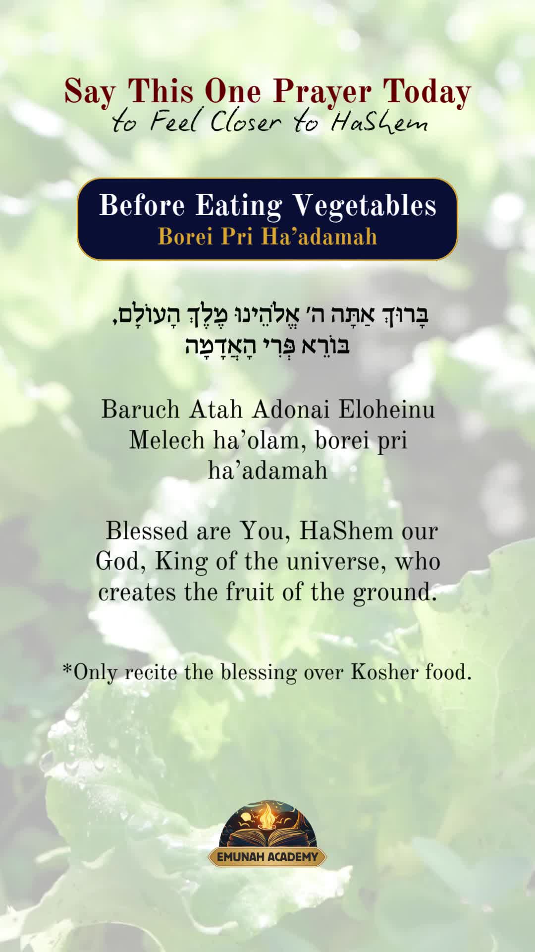 @Rav Dror