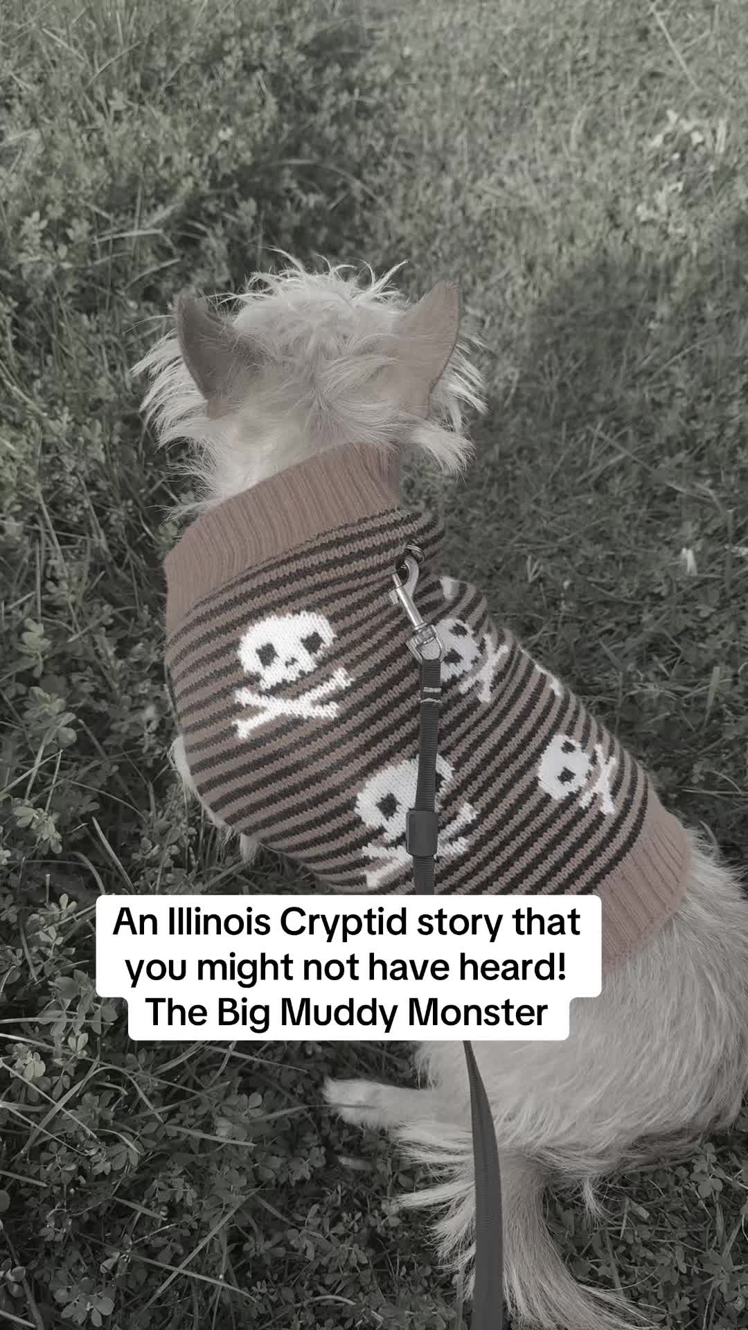 @CreaturePreacher