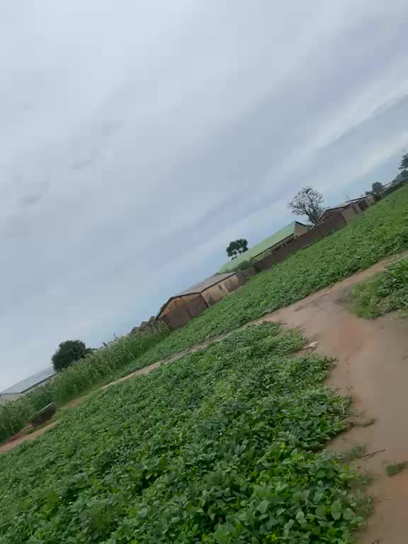 @Ousmane 242356