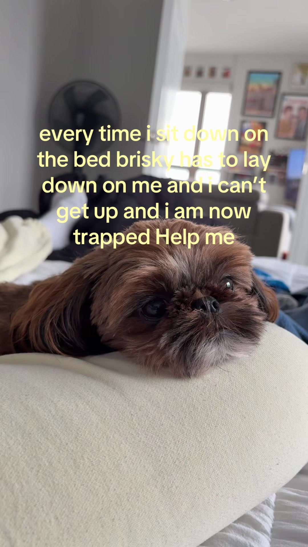 @meg
