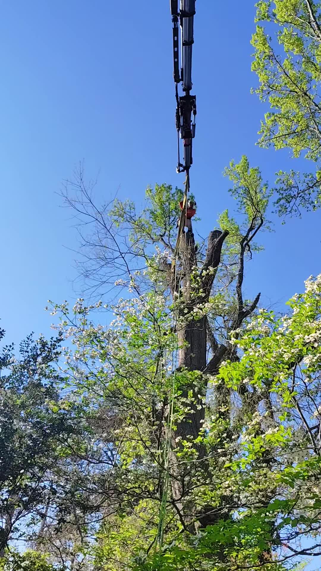 @R&G tree and landscaping