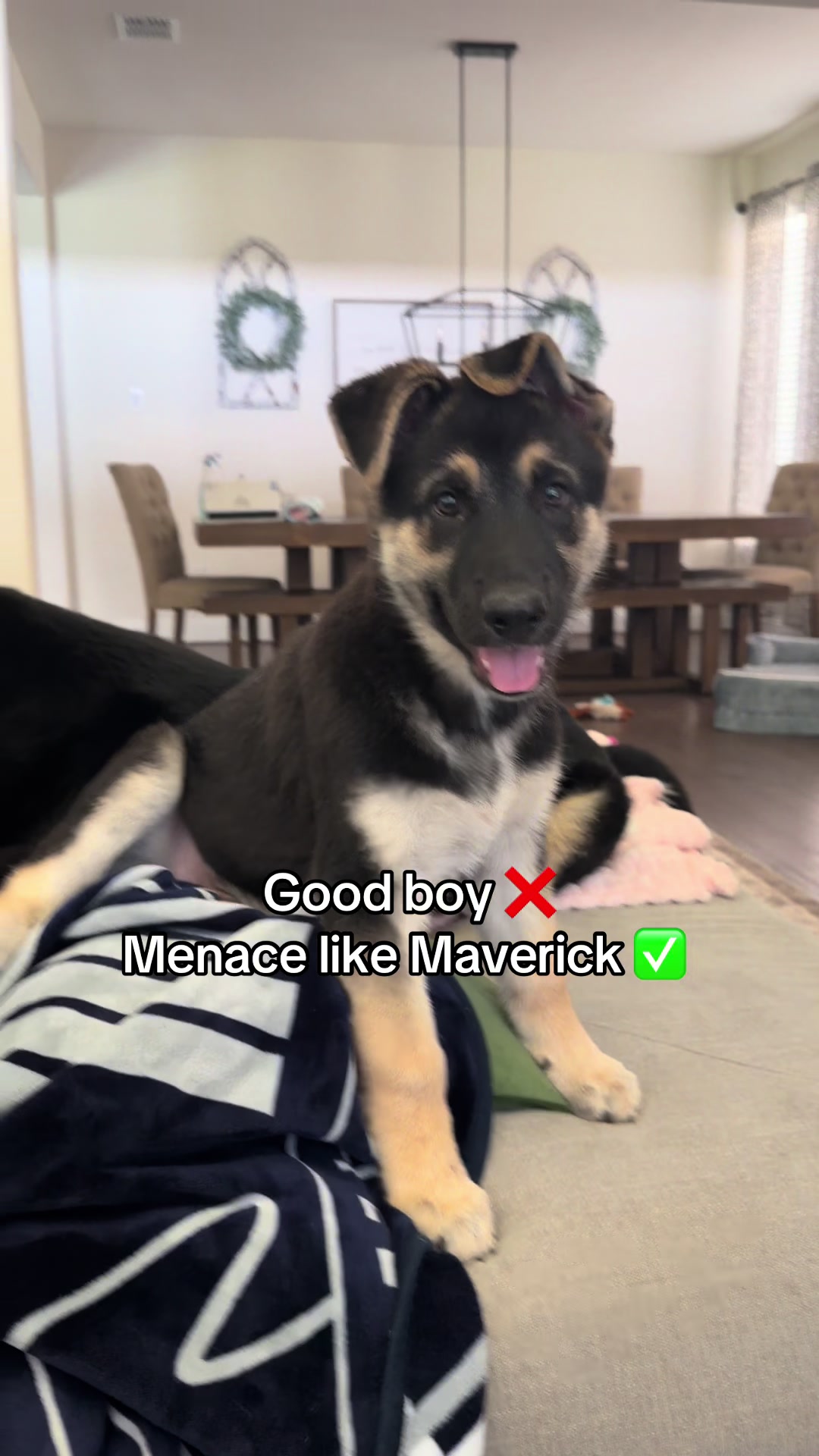 @Maverick tha Menace
