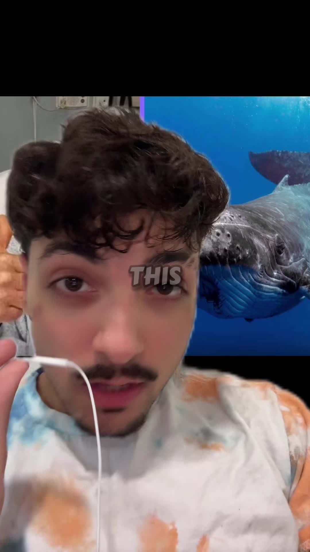 @Sbladn