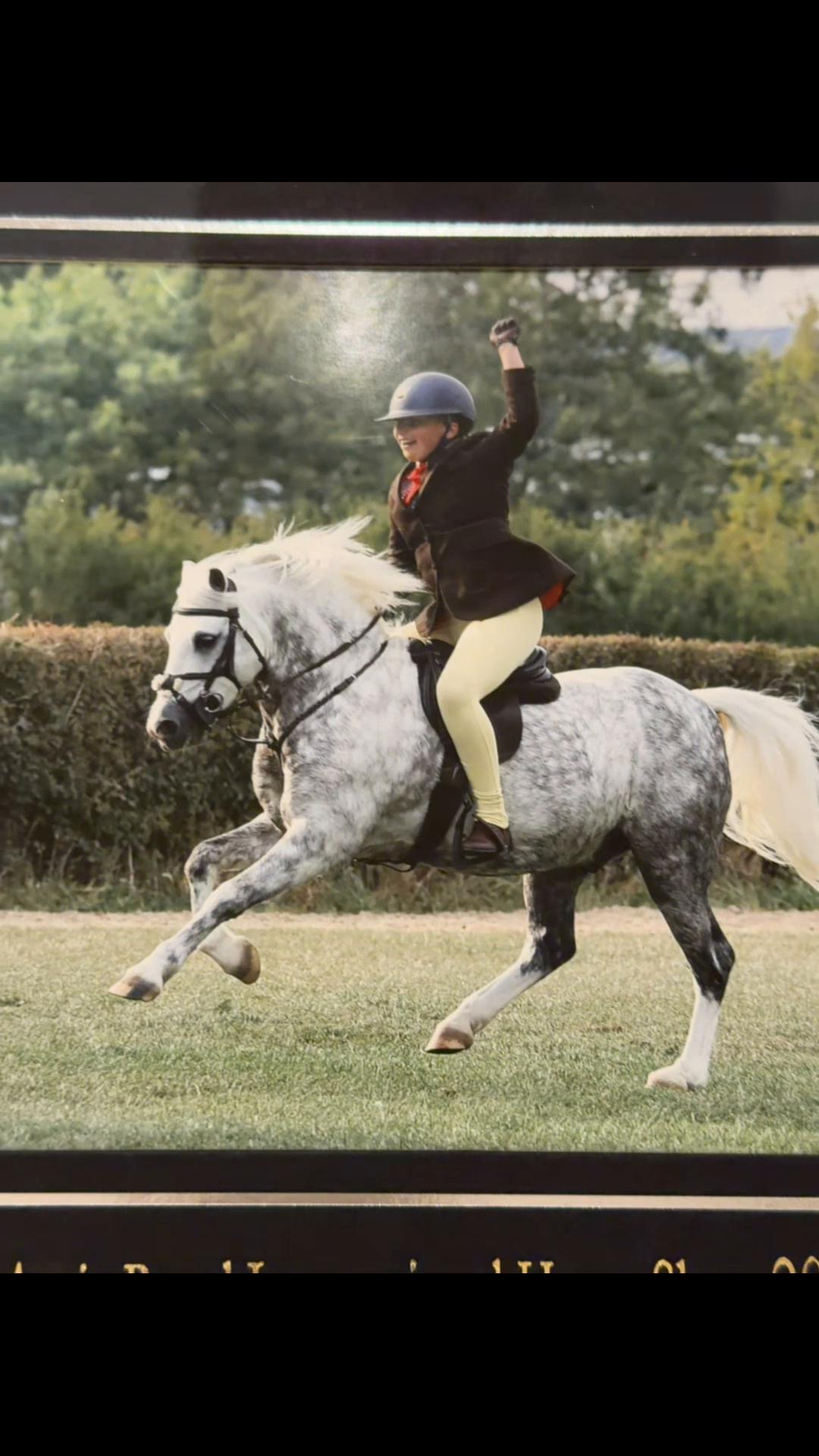 @AAPS_ponys